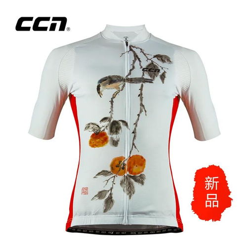當(dāng)藝術(shù)與華服相遇 名家手繪CCN中國風(fēng)服裝珍藏版為何一衣難求
